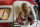 Die Chaoscamper / DVD *Top Zustand