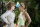 Das Schwiegermonster / DVD - Top Zustand