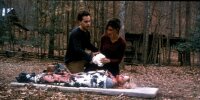 Cabin Fever / DVD - Guter Zustand