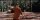 Cabin Fever / DVD - Guter Zustand