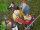 Dreamcatcher / DVD *Guter Zustand