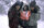 Dreamcatcher / DVD *Guter Zustand