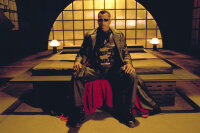 Blade 2 / DVD - Guter Zustand