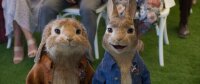 Peter Hase 2 - Ein Hase macht sich vom Acker / DVD