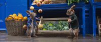 Peter Hase 2 - Ein Hase macht sich vom Acker / DVD