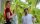 Blumhouse’s Fantasy Island - Unrated Cut / DVD * Guter Zustand