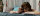 Fifty Shades of Grey - Befreite Lust / DVD - Top Zustand