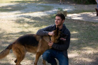 The Lucky One - Für immer der Deine / DVD