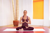 Yoga für einen gesunden und starken Rücken / DVD - Nagelneu / Versiegelt