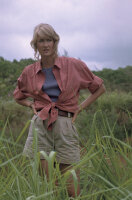 Jurassic Park / DVD
