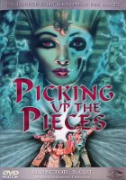 Picking up the Pieces / DVD - Top Zustand