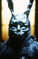 Donnie Darko / DVD *Top Zustand