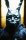 Donnie Darko / DVD *Top Zustand