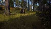 Way of the Hunter / Playstation 5 / PS5 * TOP Zustand