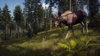 Way of the Hunter / Playstation 5 / PS5 * TOP Zustand