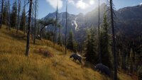 Way of the Hunter / Playstation 5 / PS5 * TOP Zustand