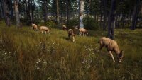Way of the Hunter / Playstation 5 / PS5 * TOP Zustand