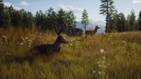 Way of the Hunter / Playstation 5 / PS5 * TOP Zustand