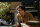 Greta / DVD *Top Zustand