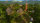 Cities Skylines - Parklife Edition / Playstation 4 / PS5 * Guter Zustand