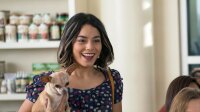 Dog Days - Herz, Hund, Happy End! / DVD
