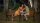 Dog Days - Herz, Hund, Happy End! / DVD