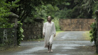 The Hole in the Ground / DVD - wie NEU