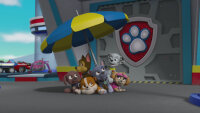 Paw Patrol - Sea Patrol / DVD