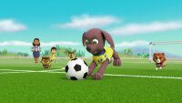 Paw Patrol - Das Spiel kann losgehen / DVD