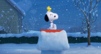 Die Peanuts - Der Film / DVD - Top Zustand