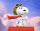Die Peanuts - Der Film / DVD - Top Zustand