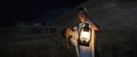 Annabelle 2 von David F. Sandberg / DVD- Top Zustand