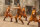 Johnny English - Jetzt erst recht / DVD