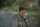 Jindabyne - Irgendwo in Australien / DVD