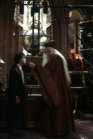 Harry Potter und die Kammer des Schreckens ( 2 DVDs )