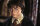 Harry Potter und die Kammer des Schreckens ( 2 DVDs )