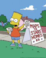Die Simpsons - Film Festival / DVD * Guter Zustand