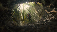 Ant-Man / DVD