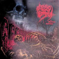 House By The Cemetary – The Mortuary Hauntings /...