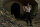 Inglourious Basterds / DVD - Akzeptabel mit Kratzer