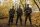 Inglourious Basterds / DVD - Akzeptabel mit Kratzer