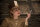 Inglourious Basterds / DVD - Akzeptabel mit Kratzer