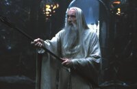 Der Herr der Ringe - Die Gefährten - 2 DVDs  - Top Zustand