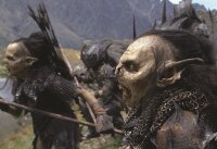 Der Herr der Ringe - Die Gefährten - 2 DVDs  - Top Zustand