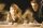 Die Insel / DVD - Top Zustand