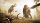 Far Cry Primal (Special-Edition) Xbox One * Top Zustand *