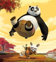 Kung Fu Panda / DVD