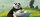 Kung Fu Panda / DVD