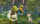 Shrek 2 - Der tollkühne Held kehrt zurück / DVD - Top Zustand