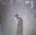 Dardust – S.A.D. Storm And Drugs - Vinyl, LP, Album - M (Mint) Brandneu